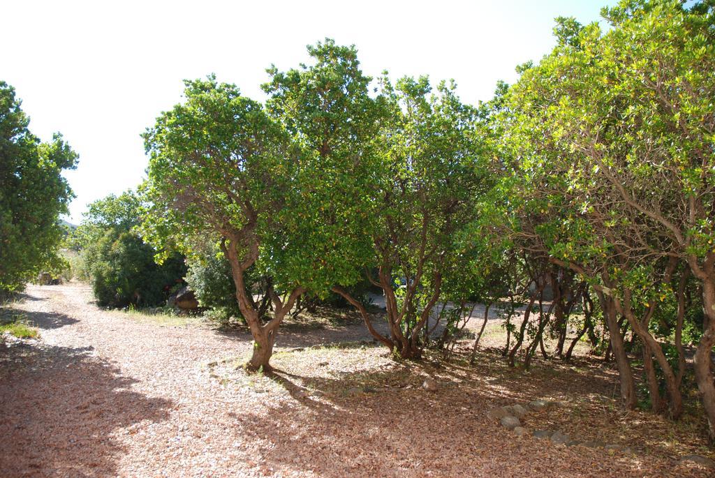 Residence Riviera Porto-Vecchio  Luaran gambar